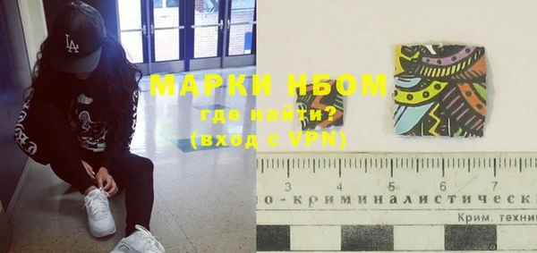спиды Бородино