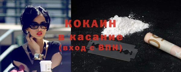 спиды Бородино
