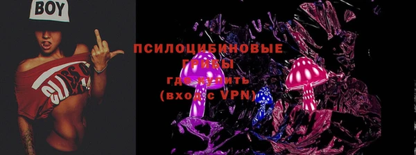 дмт Бугульма