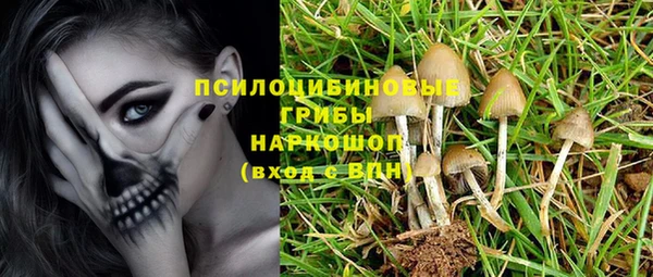 спиды Бородино
