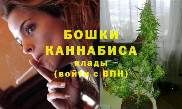 эйфоретик Бронницы