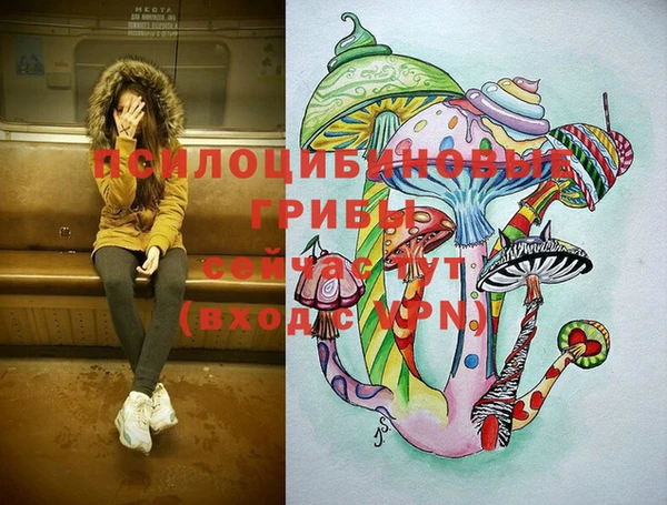 спиды Бородино