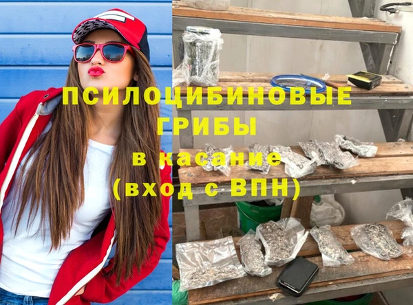 спиды Бородино
