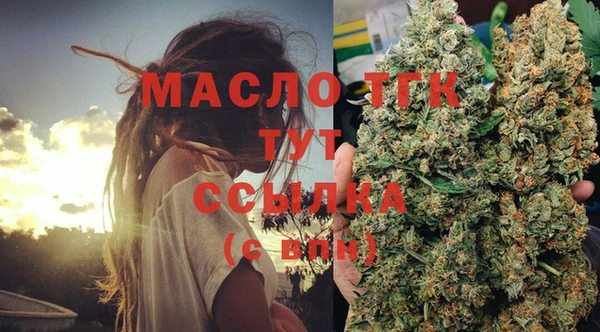 спиды Бородино