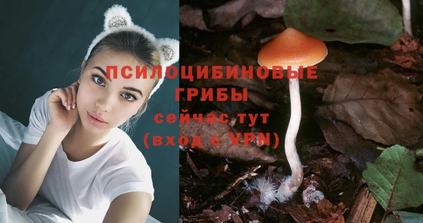 дмт Бугульма