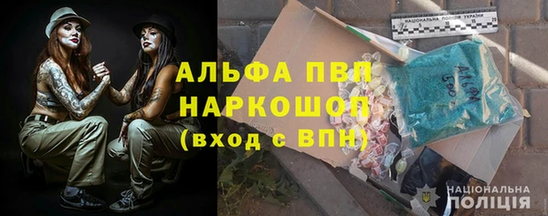 спиды Бородино