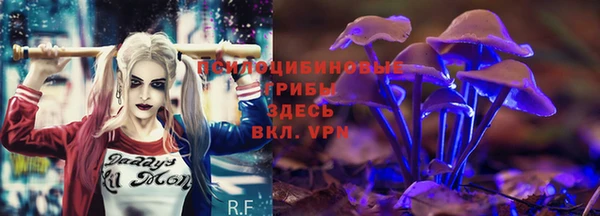 дмт Бугульма